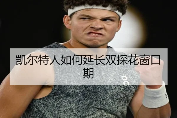 凯尔特人如何延长双探花窗口期